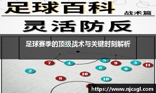 星空综合股份(中国)